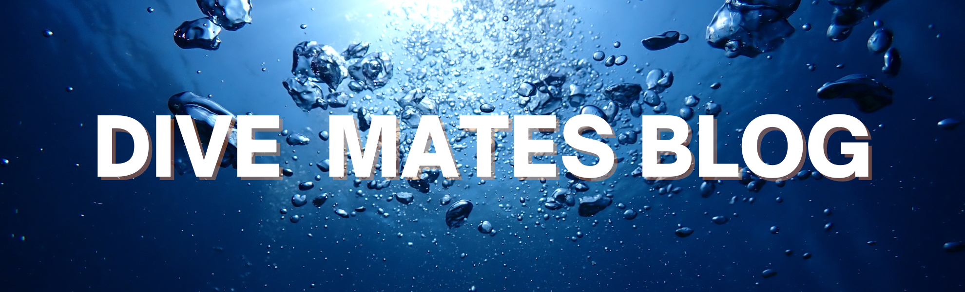 ダイビング仲間と水中で移動する様子